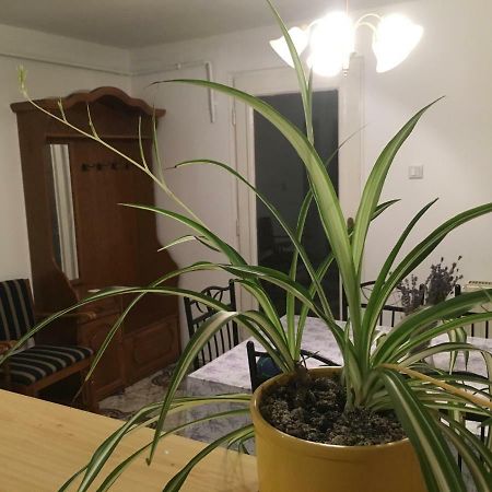 Апартаменты Levendula Apartmanhaz Шюмег Экстерьер фото